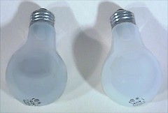 bulbs.jpg (7082 bytes)