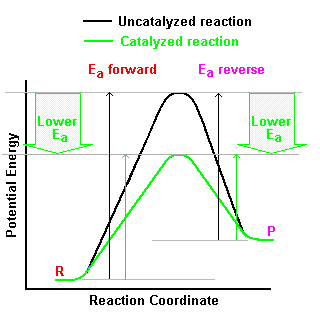 Activation Energy Curve