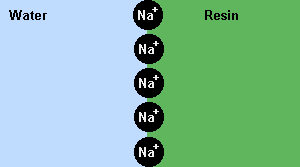 Regenerated Ion Exchange Resin