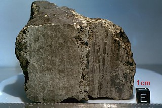 Meteroite ALH84001 (NASA photo)